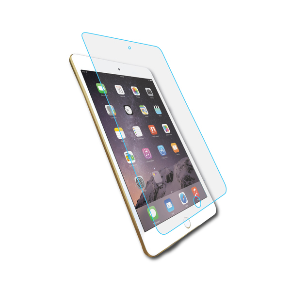 iPad AntiGlare Screen Protector MyGoFlight