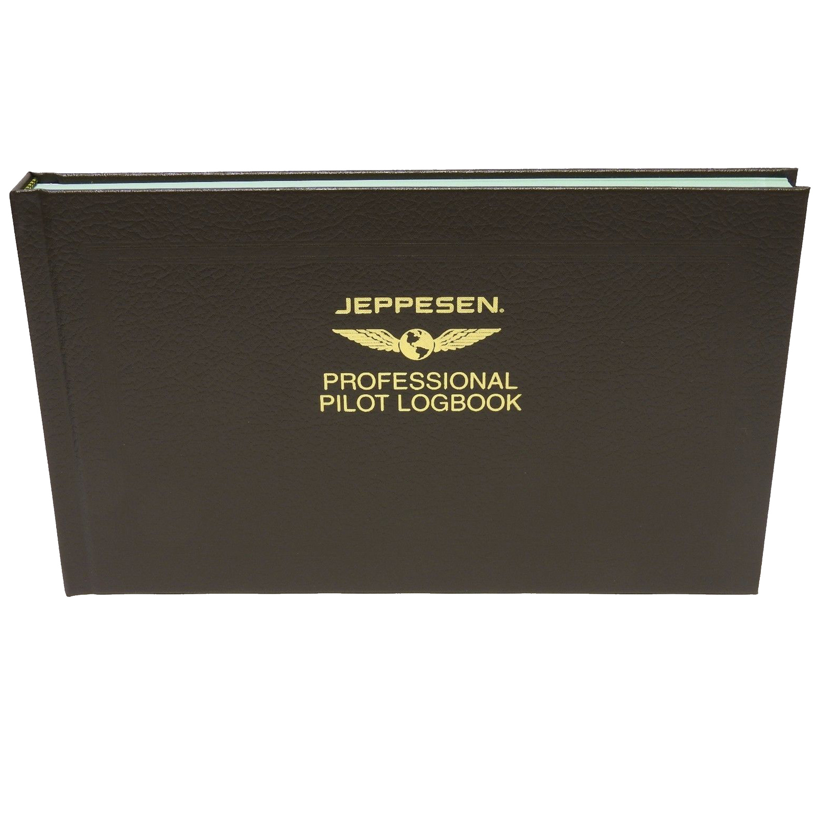 jeppesen pilot logbook excel