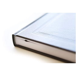 Jeppesen Professional European Pilot Log Book