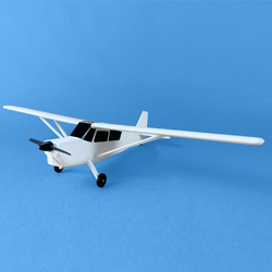 Super Decathlon Training Model