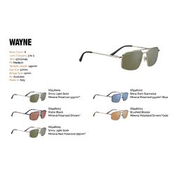 Serengeti Wayne Sunglasses