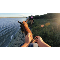 GoPro Head Strap 2.0