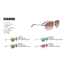 Serengeti Dorwinn Sunglasses