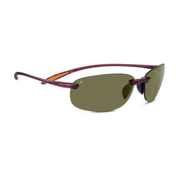 Serengeti Nuvino Sunglasses