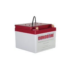 Concorde RG24-11 24 Volt 11AH Sealed Lead Acid Battery
