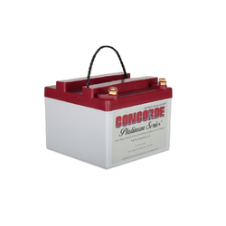 Concorde RG24-16 24 Volt 13.6AH Sealed Lead Acid Battery (TSO)