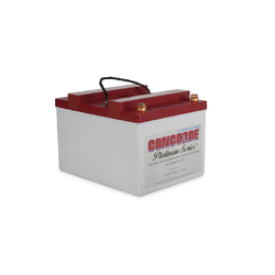 Concorde RG24-20 24 Volt 19AH Sealed Lead Acid Battery