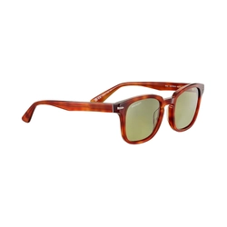 Serengeti Ethan - Shiny Classic Havana - Min Pol 555Nm - SS575003