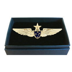 Pilot Wings - Design Alpha Gold with Star