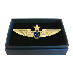 Pilot Wings - Design Alpha Gold with Star