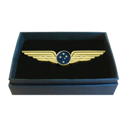 Pilot Wings - Design Delta Gold