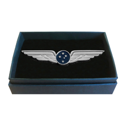 Pilot Wings - Design Delta Silver
