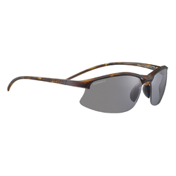 Serengeti Winslow Sunglasses