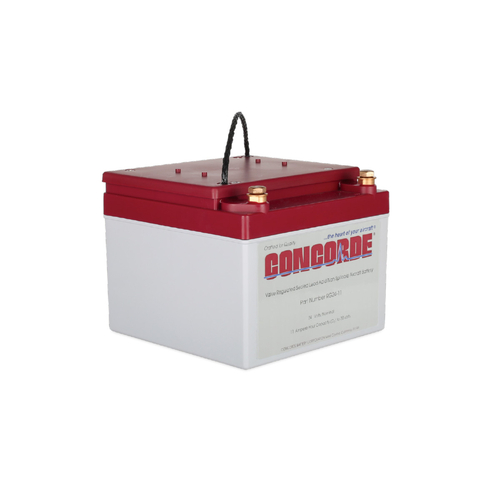 Concorde RG24-11 24 Volt 11AH Sealed Lead Acid Battery
