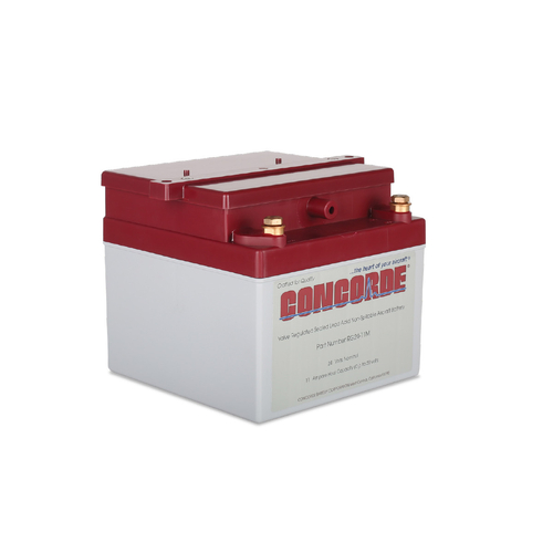 Concorde RG24-11M 24 Volt 11AH Sealed Lead Acid Battery